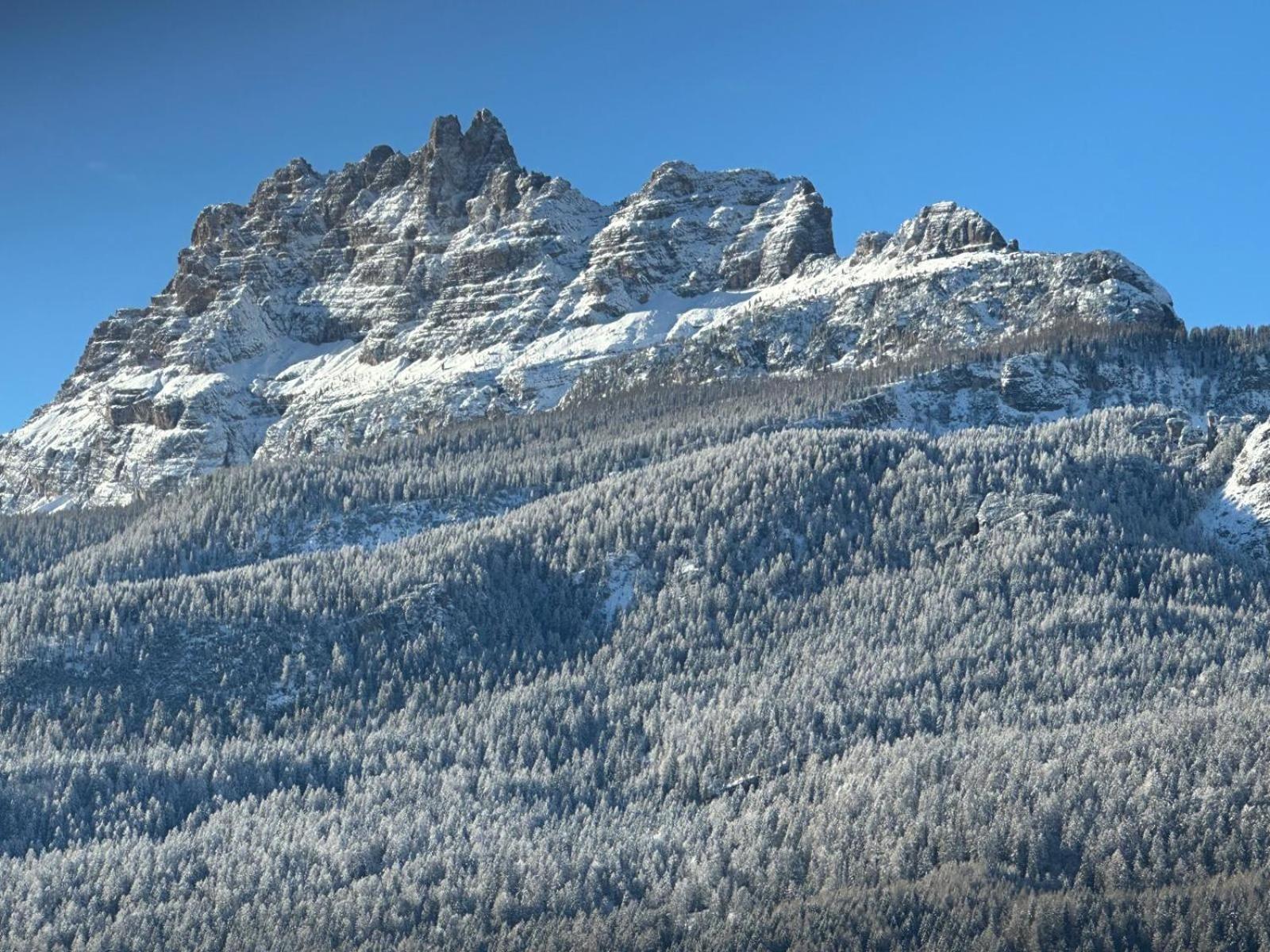 Hotel Serena Cortina Кортина-д'Ампеццо Экстерьер фото